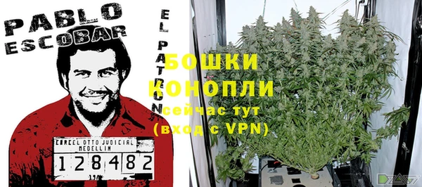 мет Арсеньев