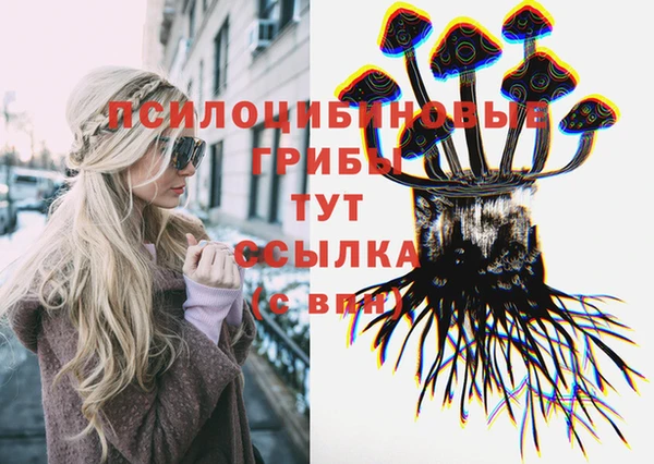 мет Арсеньев