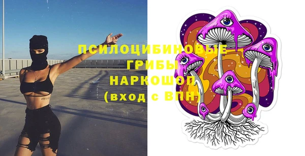 дурь Алзамай