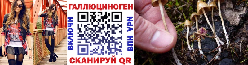Галлюциногенные грибы Psilocybe  Полярные Зори 